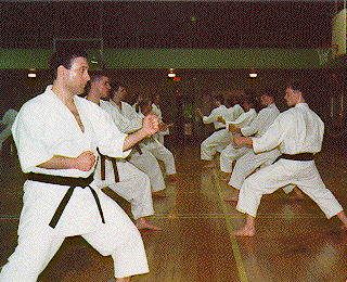 Program Latihan Karate Lengkap - Info Karate