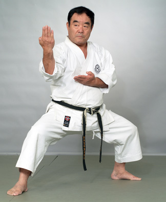 The Karate Kid Blog: Shito-Ryu Karate Trailblazer: Fumio Demura