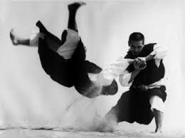 Shorinji Kempo | Martial arts