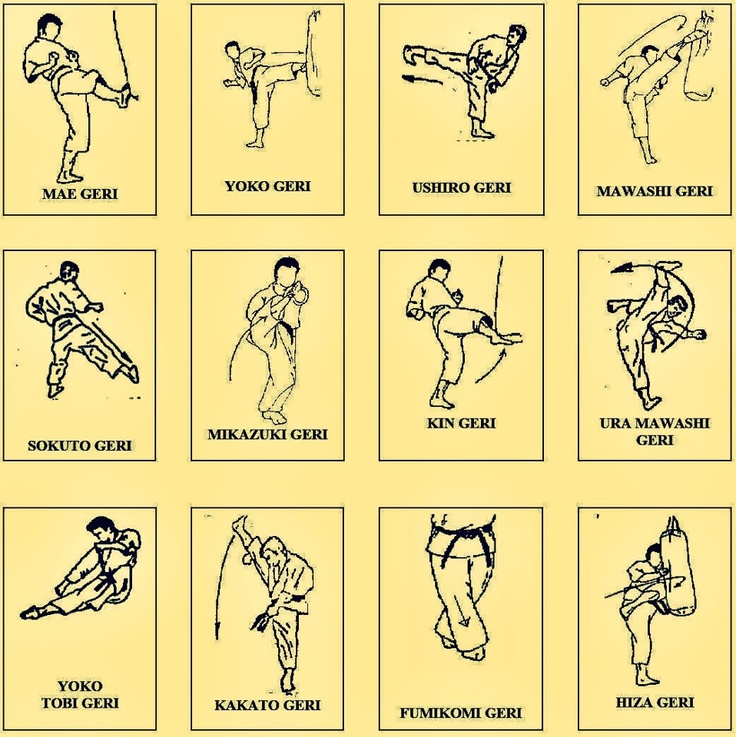Karate Kick Names for Japnes and Block Name and Stance Name - Anil Karate
