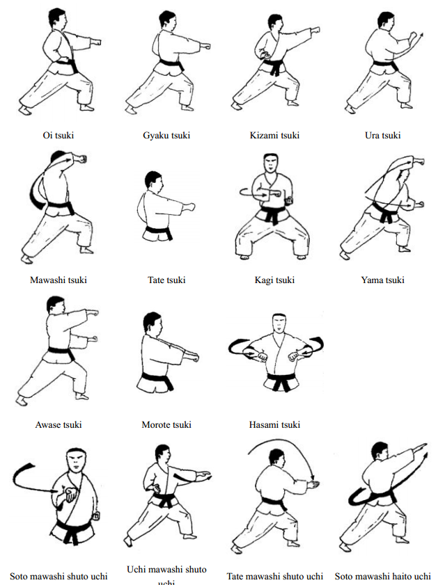 Tsuki Waza dan Uchi Waza | Técnicas de artes marciales, Tecnicas de