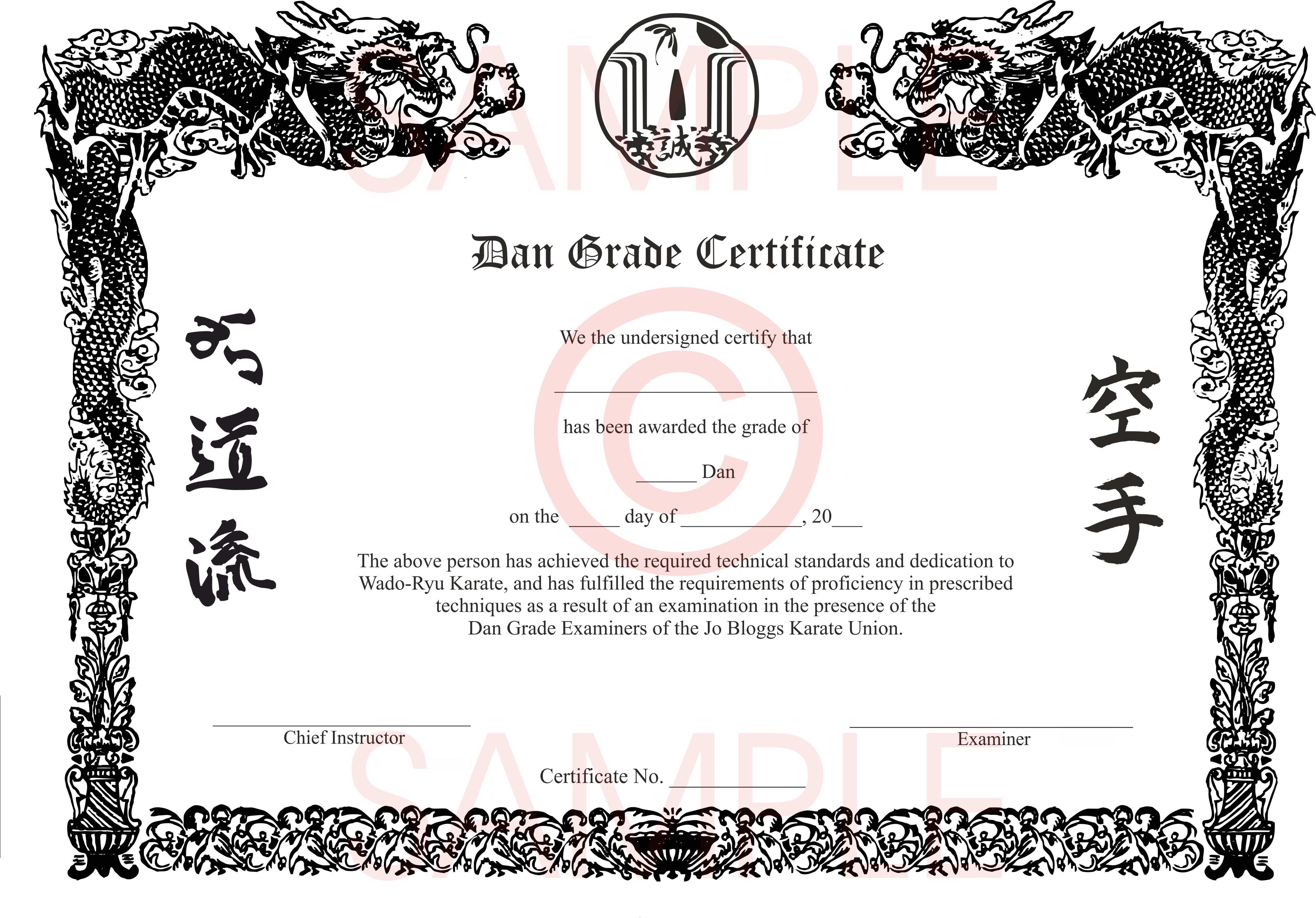 Award Certificate with Chinese Writing