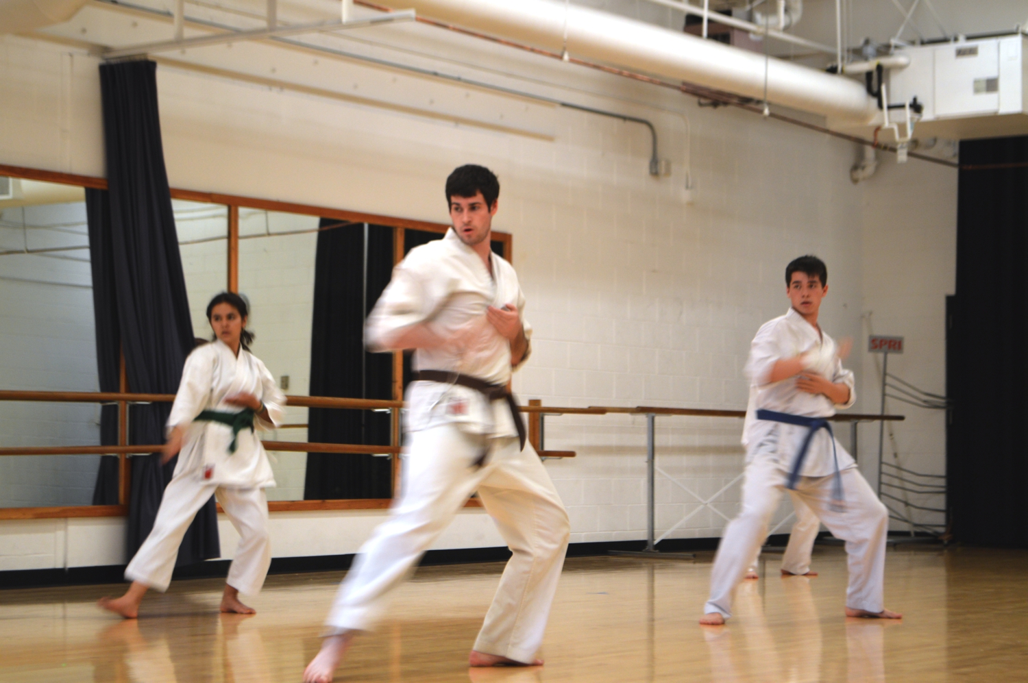 Occidental karate team earns silver and bronze medals at tournaments in