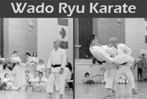 Wado Ryu Karate | LutonKarate LutonKarate
