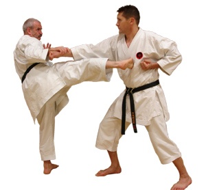 Goju-Ryu Karate | Goju ryu karate, Karate, Okinawan karate