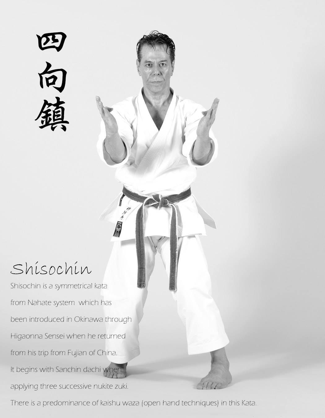Pin by Tanzadeh Shitokai on Shito-ryu karate | Karate, Martial arts