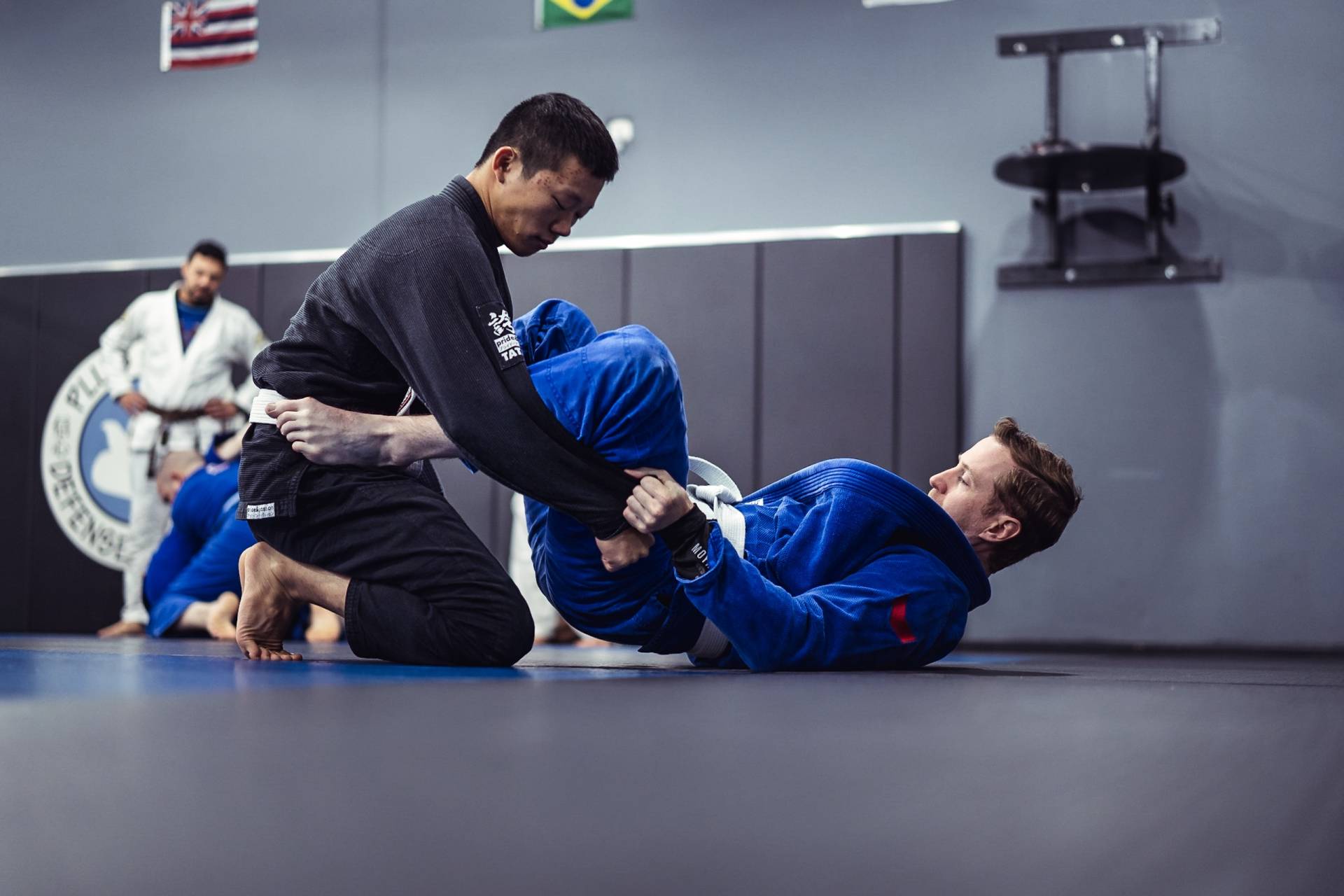 Continue your martial arts training online with TheNewDojo.com • Plus