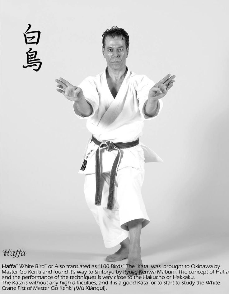 Pin de Dave Wolfe en Shito-ryu karate | Tecnicas de karate, Karate, Marcial