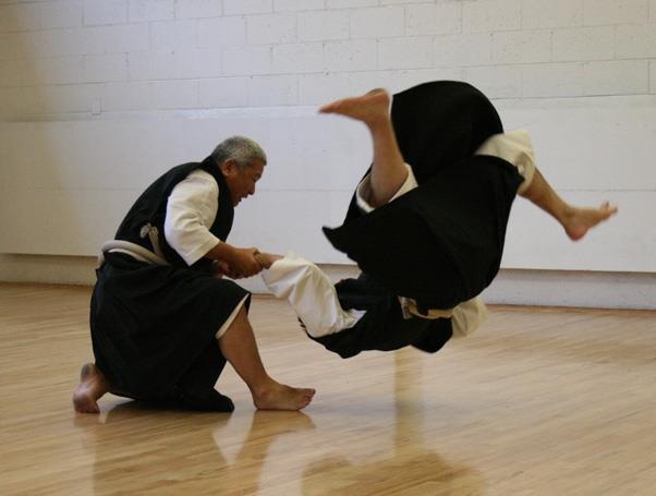 Shorinji Kempo | Kung Fu and Martial art | Pinterest