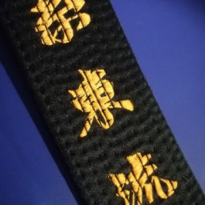 Senior Class – Shito-Ryu NZ