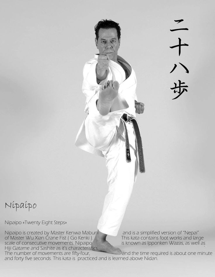 Pin de Dave Wolfe en Shito-ryu karate | Tecnicas de karate, Karate