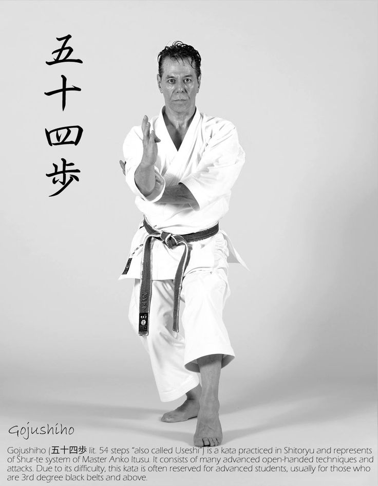 Pin de Dave Wolfe em Shito-ryu karate | Luta, Amor