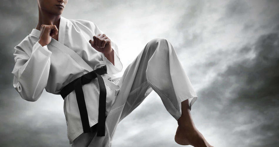 Shito-Ryu Karate | SAFRA
