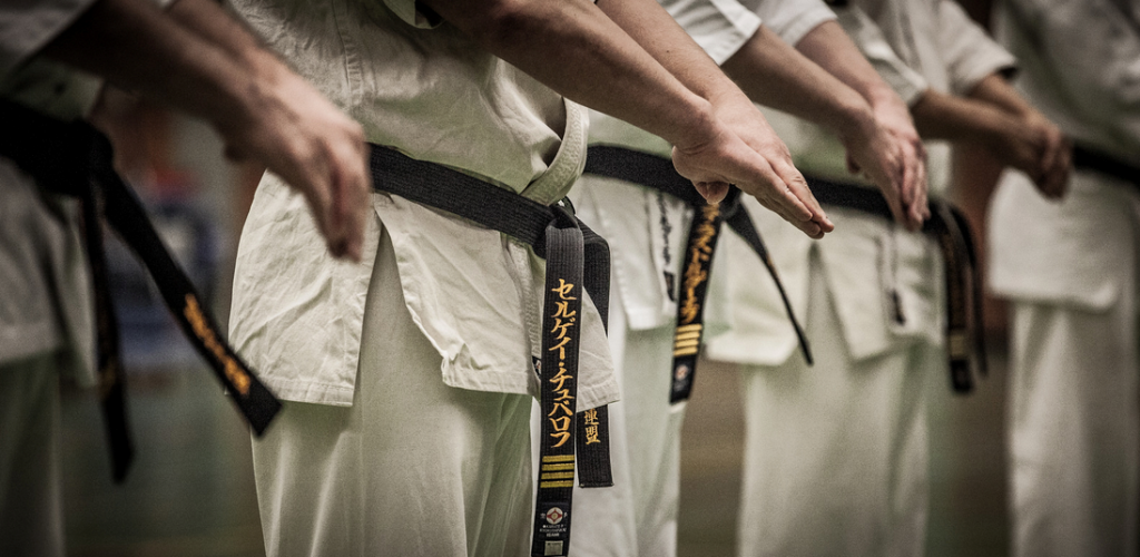 The Beginner’s Guide to Kyokushin Karate - The Martial Way