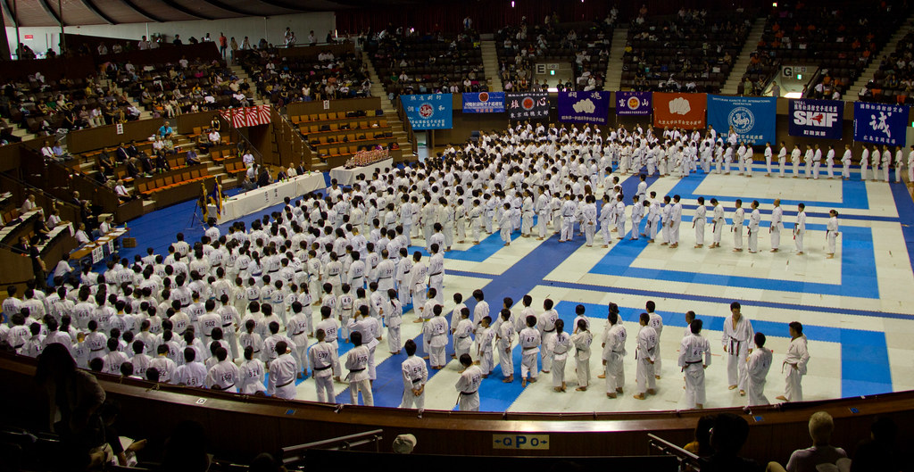 SKIF 2011 | Campeonato Nacional de Karate SKIF, Tokio 2011 | Iñigo