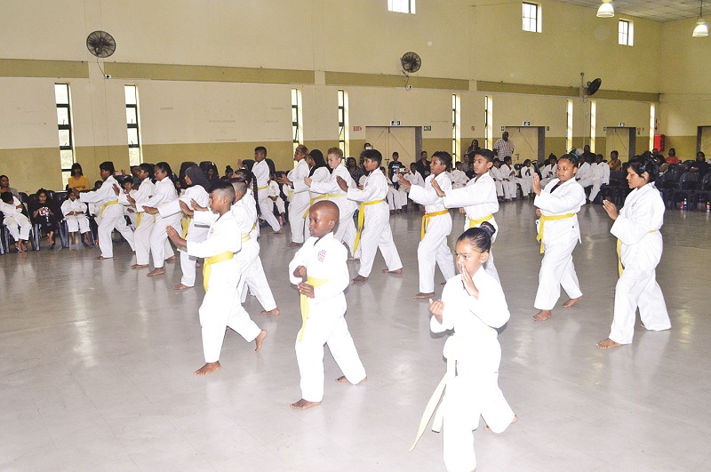 Shito-Ryu Karatedo Institute hosts successful grading ceremony | Rising