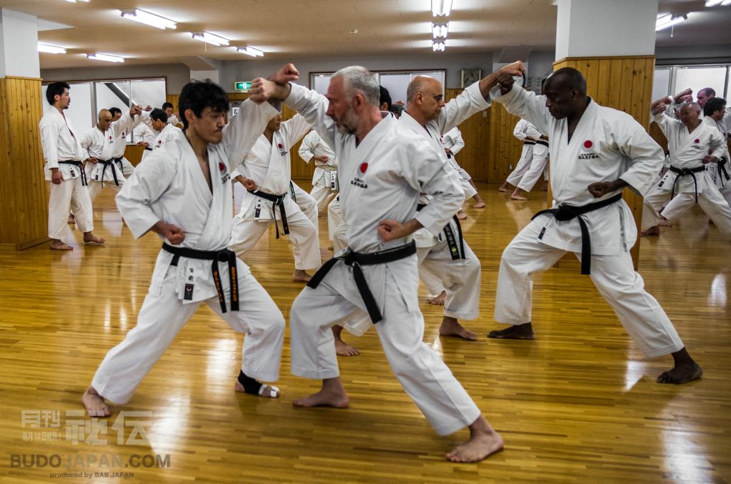 Shotokan Karate: It was 30 years ago today | BUDO JAPAN - Original
